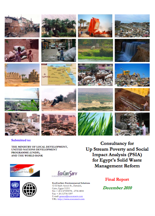 PSIA Report_2010